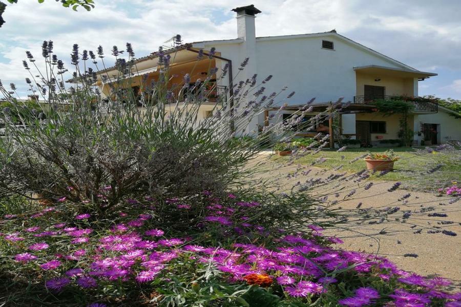 Apartment Norina Grožnjan Екстериор снимка